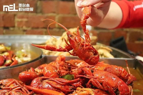 微報(bào)福利 墨爾本這家龍蝦店太拽啦 反手就給我來(lái)了一個(gè)龍蝦屆的 俄羅斯輪盤