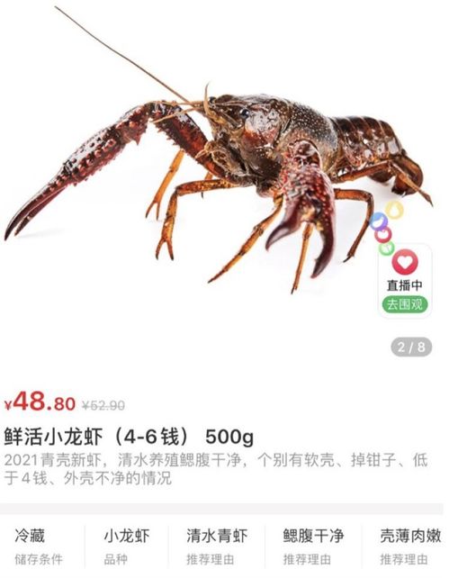 今年小龍蝦上市早,生鮮平臺(tái)銷量同比增長(zhǎng)超220 鮮活小龍蝦加上調(diào)味料 日銷數(shù)萬(wàn)份